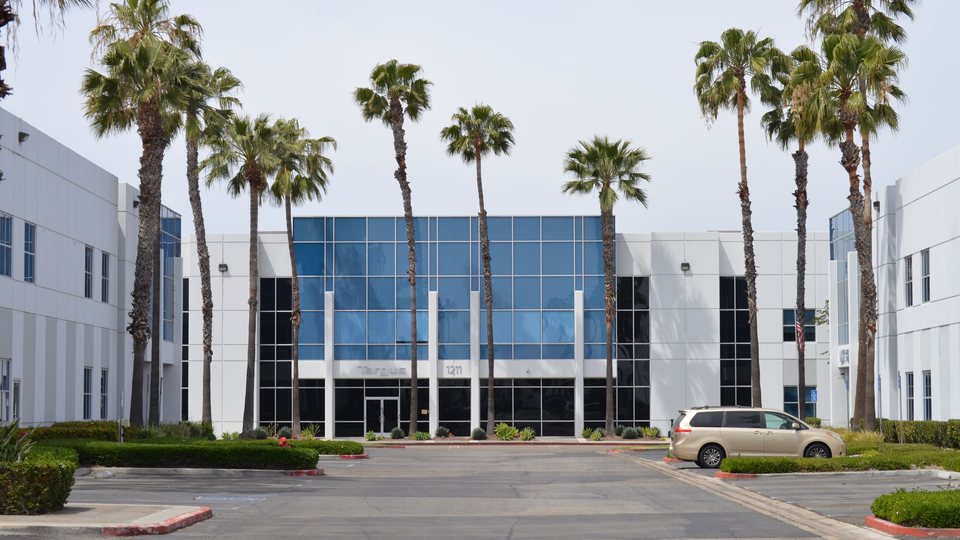 Office building entrance drive lined with tall palm trees